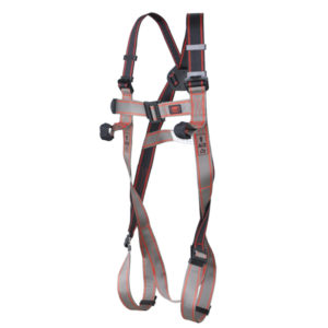 Pioneer™ 2-Point Harness