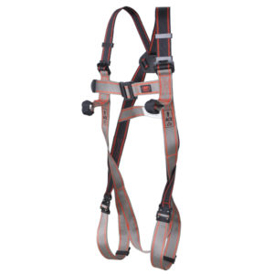 Pioneer™ 2-Point QR Harness