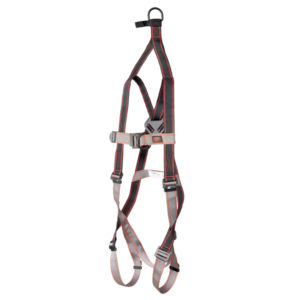 Pioneer™ 2-Point Rescue Harness