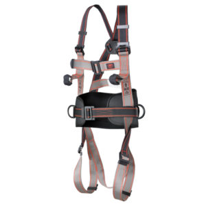 Pioneer™ 3-Point Harness